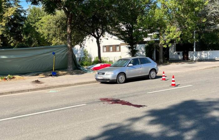 Doppelganger murder in Ingolstadt: What the father of the supposedly dead says Regional