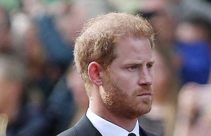 Prince Harry: who is James Hewitt, the man some suspect is his real father?