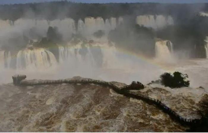 Tourist who fell in Iguazu Falls is identified