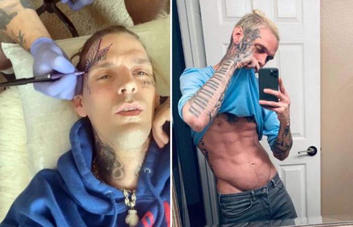 From Teen Star to Soft Porn Star: The Turbulent Life of Aaron Carter (34)