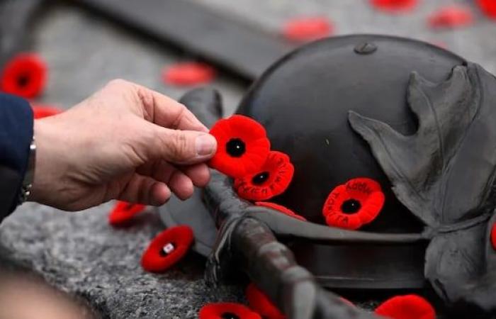 Remembrance Day 2022: here’s what’s open or closed in Ottawa and Gatineau