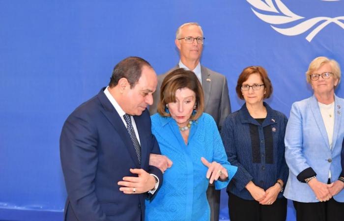 Who is Nancy Pelosi, who was received by President Abdel Fattah El-Sisi in Sharm El-Sheikh?