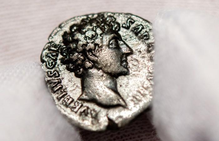 Ancient coins confirm the existence of a Roman emperor