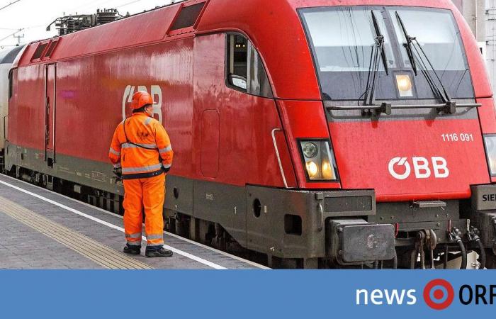 Austria-wide strike: All trains stand until midnight