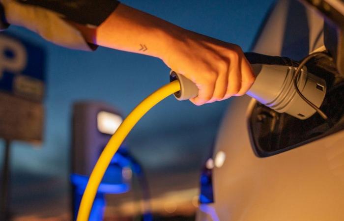 Neighboring country plans driving ban for e-cars against blackouts