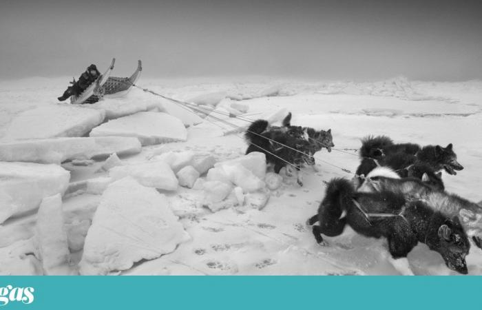 Ragnar Axelsson has been photographing Arctic peoples for 40 years | Protagonist