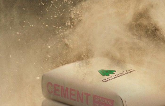Urgent.. dissolving the board of directors of “Raysut Cement” immediately – Omani Affairs