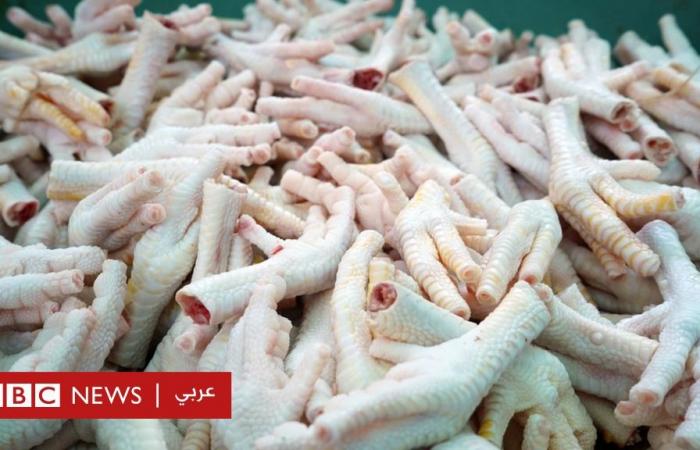 Chicken legs in Egypt raise a wave of controversy and ridicule in light of the high prices of meat and poultry