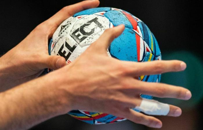 Spain vs. Montenegro Handball World Championship broadcast today: TV and live stream for the game