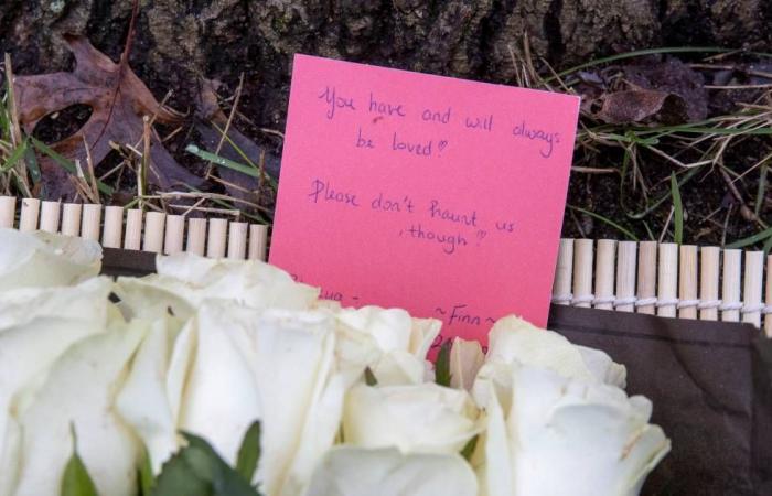 White roses at the scene of fatal accident of 18-year-old student in Wageningen: ‘You will always be loved’ | Wageningen