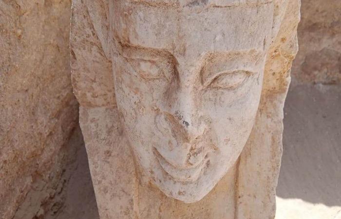 Al-Araj is a lover of antiquities.. Who is Claudius, the owner of the Sphinx statue in Qena? | photo