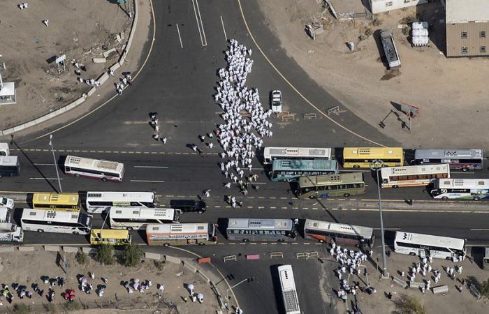 Pilgrim bus crash kills 20: state media
