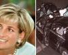 Firefighter who resuscitated Princess Diana reveals her last words