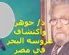 Hamed Gohar Hamed Gohar Wikipedia || Who is Dr. Hamed Gohar, the Egyptian marine scientist?