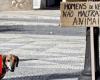 Lisbon receives demonstration today for the criminalization of animal abuse